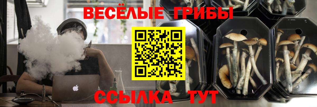 Псилоцибиновые грибы прущие грибы Саянск